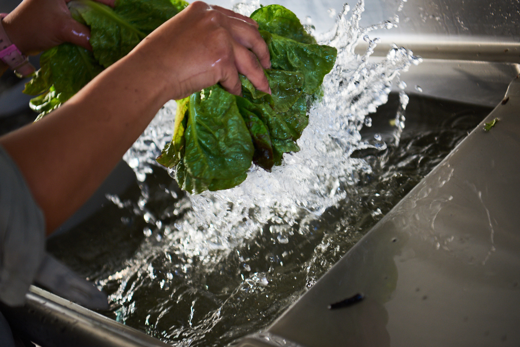 lettucewashing